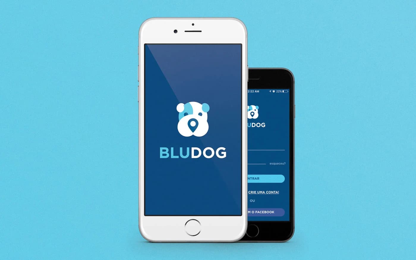 Branding do lançamento da Bludog