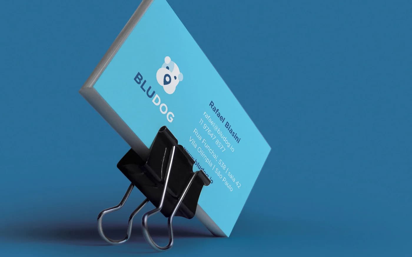 Design do aplicativo da Bludog