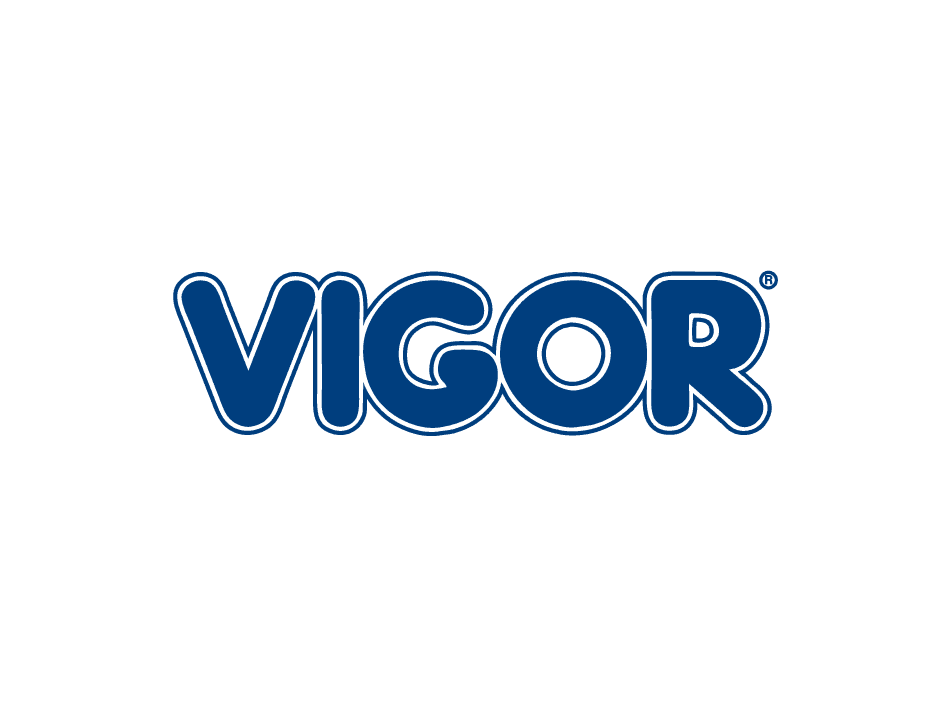 Logo Vigor